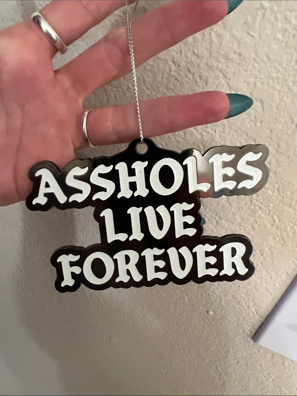 Black and White Holiday Hanging Sign - Assholes Live Forever